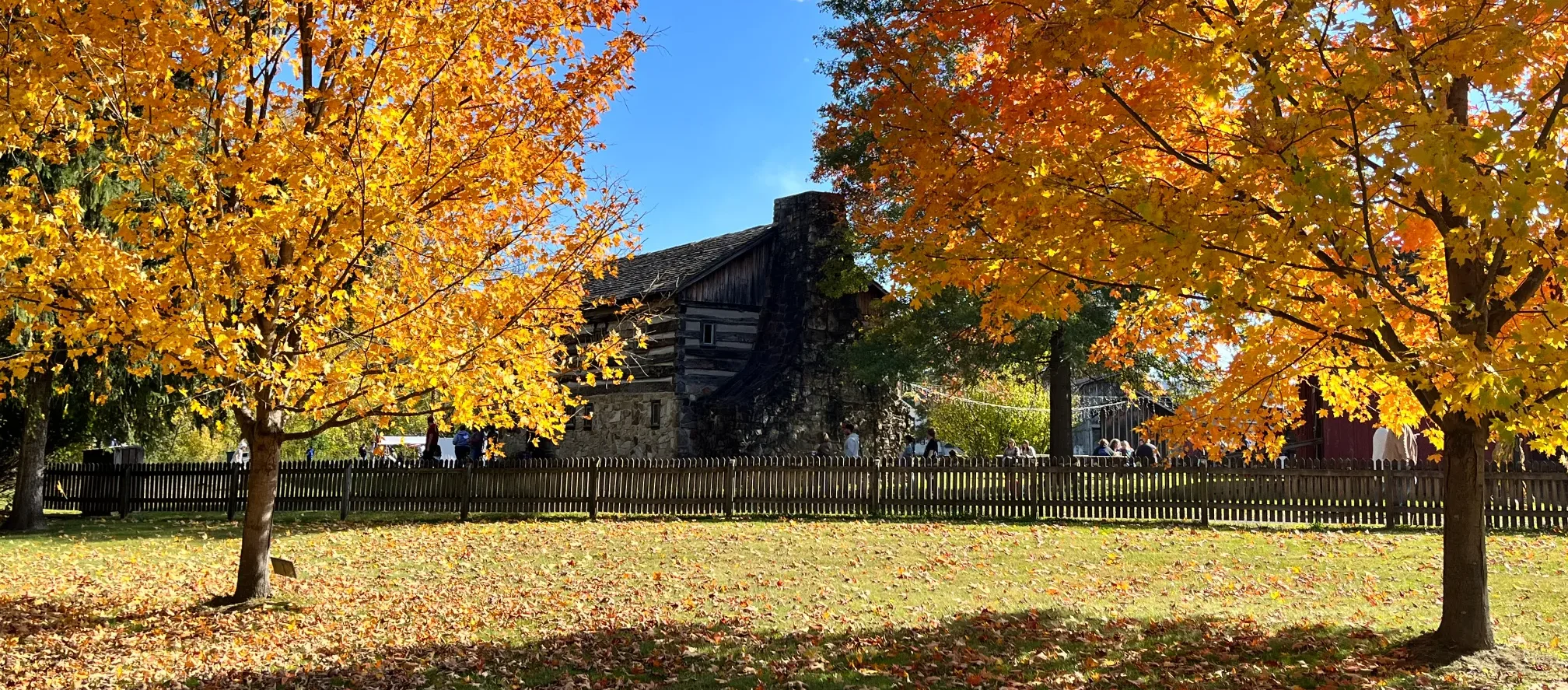 Autumn_Foliage